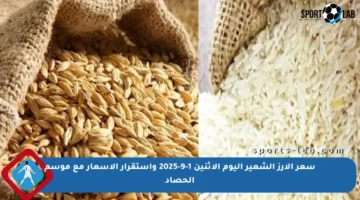 سعر الأرز الشعير اليوم الاثنين 1-9-2025 واستقرار الأسعار مع موسم الحصاد